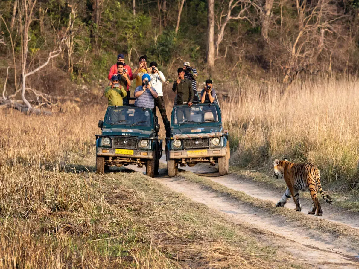 Uttarakhand National Parks "Wildlife safari jeep inside Jim Corbett, the most popular Uttarakhand National Park"